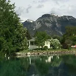 Am