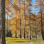 Apartman Am Nassereith